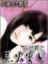 冷总裁之惹火宝贝